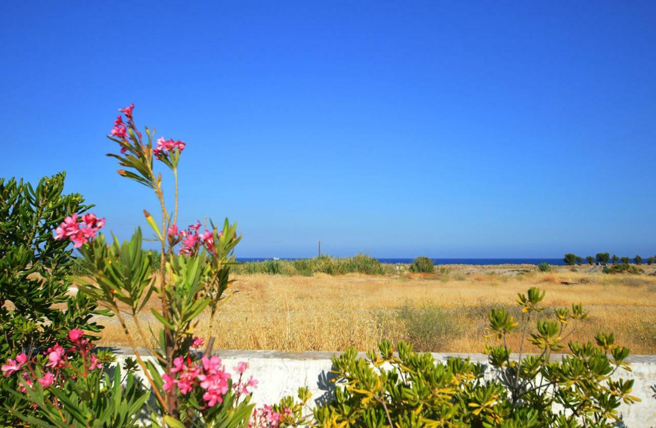 S-Eva Resort Kolymbia Exteriör bild
